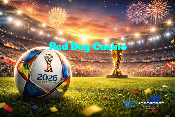available types of Red Dog Casino bet including pre-match live express and system bets